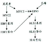 作业帮