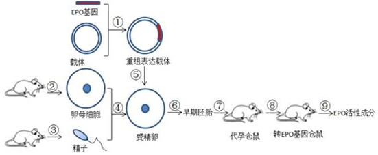 作业帮