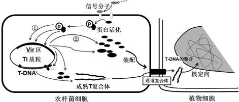 作业帮