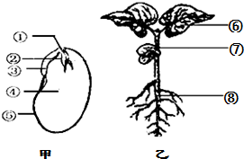 作业帮