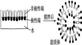 作业帮