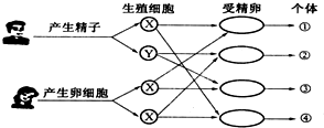 作业帮