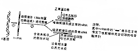 作业帮