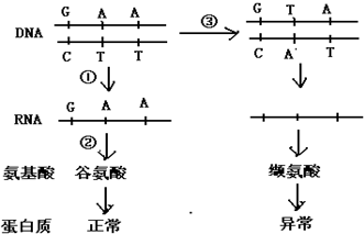 作业帮