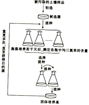 作业帮