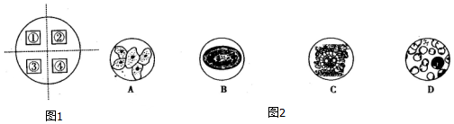 作业帮