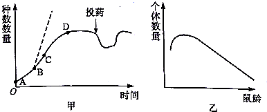 作业帮