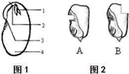 作业帮