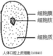 作业帮