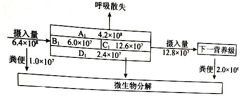 作业帮