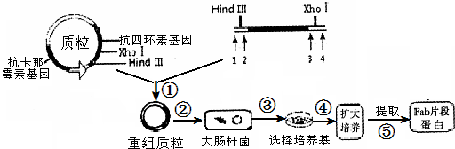 作业帮