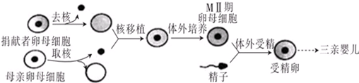 作业帮