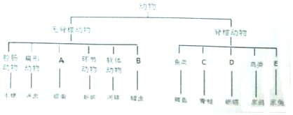 作业帮