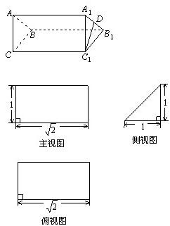 精英家教网