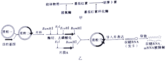 作业帮