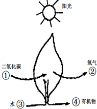 作业帮