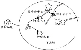 作业帮