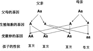 作业帮