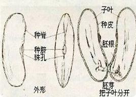 作业帮