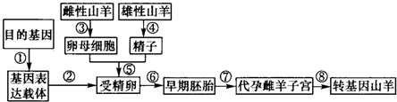 作业帮