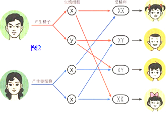 作业帮