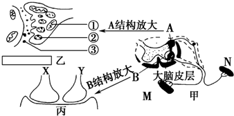 作业帮