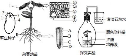 作业帮