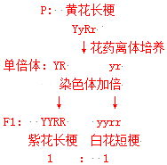 作业帮