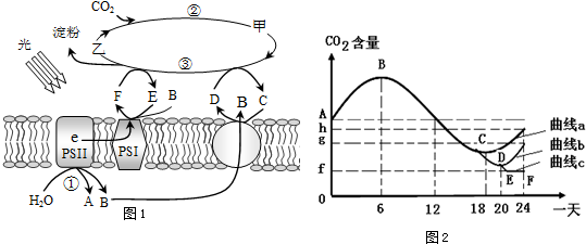 作业帮