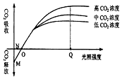 作业帮