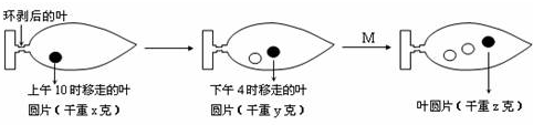 作业帮