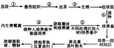 作业帮