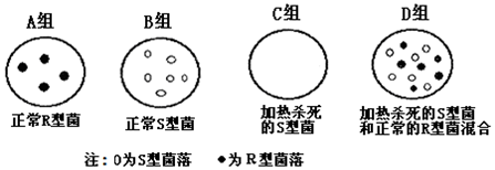 作业帮