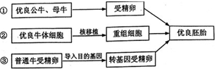 作业帮