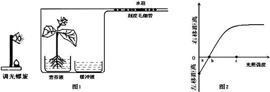 作业帮