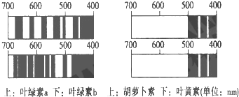 作业帮