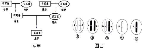 作业帮