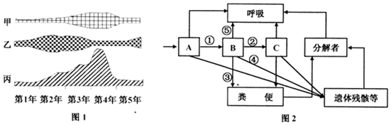 作业帮