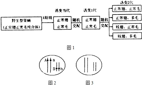 作业帮