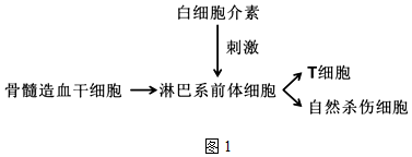 作业帮