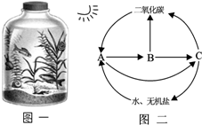 作业帮