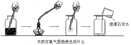 氧气的性质 (1) 如图所示,用坩埚钳夹取一小块木炭,在