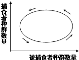 作业帮