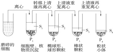 作业帮