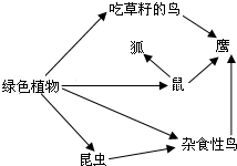 如图是某森林生态系统中的食物网简图,请据图回答有关问题