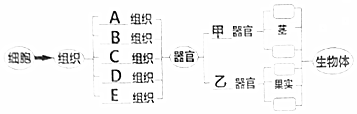 作业帮