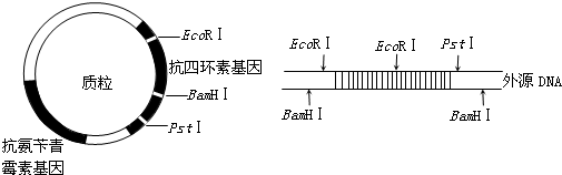 作业帮