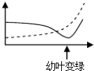 作业帮