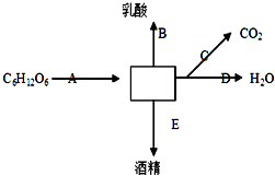 作业帮