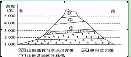 下图表示的是某山垂直自然带的分布.读图回答22-24题.